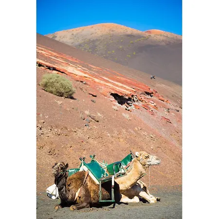 El Varadero * Playa Blanca (Lanzarote)